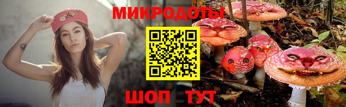 Галлюциногенные грибы GOLDEN TEACHER Черкесск